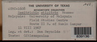 Image Associated With the Occurence